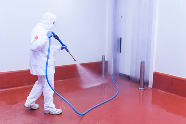 Best Soft Washing  in Bayview, CA