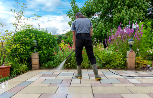 Animal Enclosure Cleaning in Bayview, CA